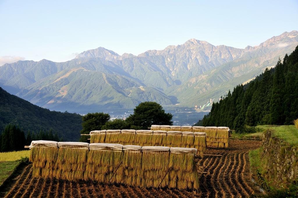 Lodge Nostalgia Hakuba Eksteriør bilde